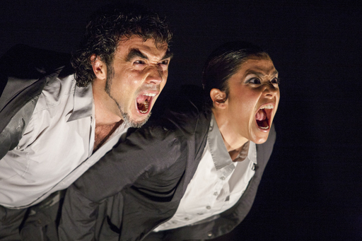 Bühnenfotografie Klaus Handner | Theater | Pressefotograf auf alleFotografen