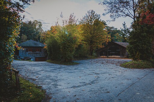 Fotografen in Allschwil finden