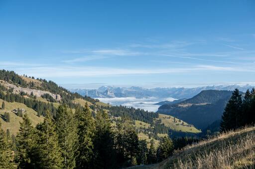 Fotografen suchen und finden