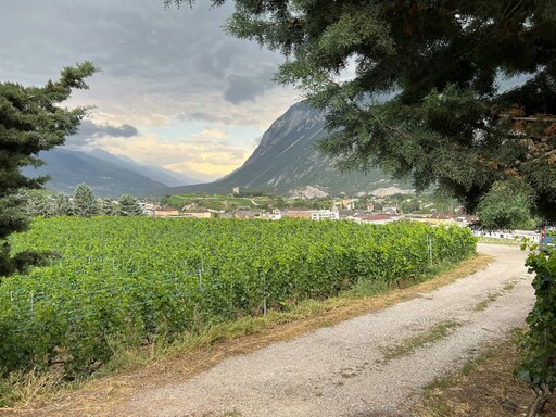 Fotografen suchen und finden