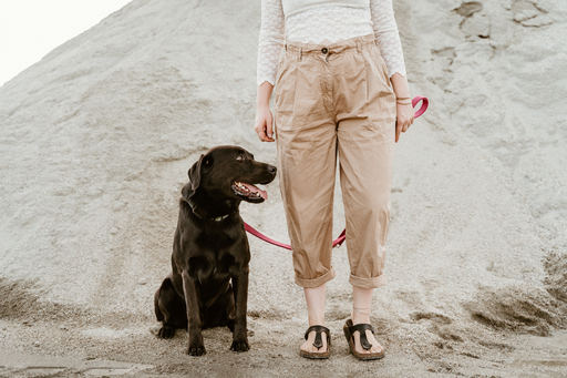Danigrafie | Hundefotografie | Kinderfotograf auf alleFotografen