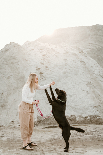 Danigrafie | Hundefotografie | Hundefotograf auf alleFotografen