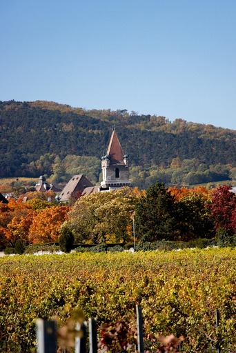 Fotografen in Perchtoldsdorf finden