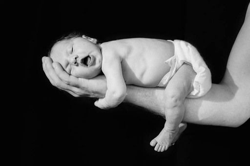 Fotografie Sabine Aichberger | Menschen und Tiere | Babyfotograf auf alleFotografen