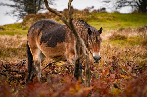 Fotografie Sabine Aichberger | Menschen und Tiere | Kinderfotograf auf alleFotografen