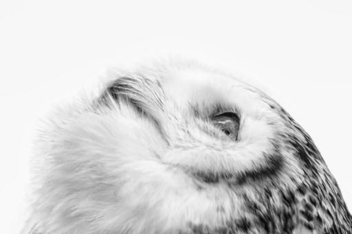 Fotografie Sabine Aichberger | Menschen und Tiere | Landschaftsfotograf auf alleFotografen