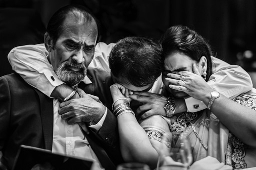 Richard Haydon Photography | Portfolio | Hundefotograf auf alleFotografen