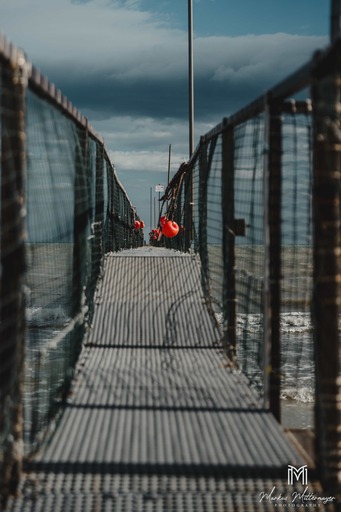 Markus Mittermayer Photography | Landschaft | Hundefotograf auf alleFotografen
