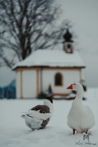 Markus Mittermayer Photography | Landschaft | Pressefotograf auf alleFotografen