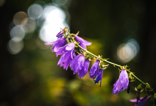Markus Mittermayer Photography | Landschaft | Konzertfotograf auf alleFotografen