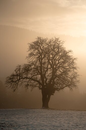 Markus Mittermayer Photography | Landschaft | Portraitfotograf auf alleFotografen
