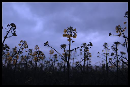 Pixora.Films | Landschaft | Familienfotograf auf alleFotografen