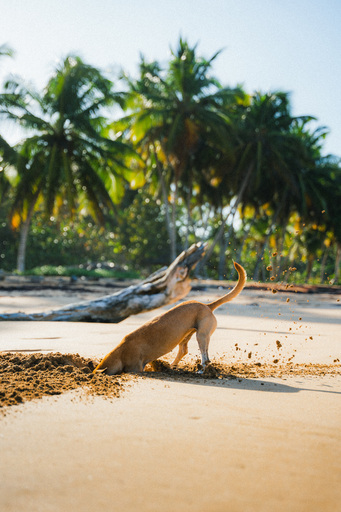 Markus Lindl | Landscape & Travel | Konzertfotograf auf alleFotografen