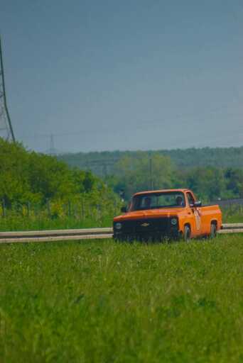 Aliya Ernst  | Oldtimer | Tierfotograf auf alleFotografen