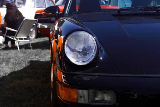 Aliya Ernst  | Oldtimer | Tierfotograf auf alleFotografen