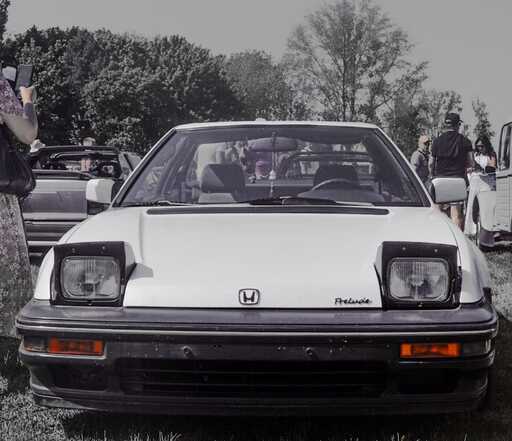 Aliya Ernst  | Oldtimer | Tierfotograf auf alleFotografen