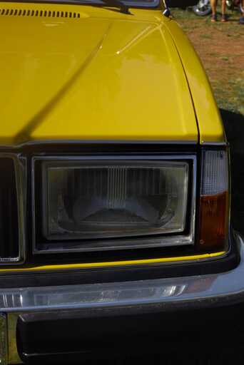 Aliya Ernst  | Oldtimer | Tierfotograf auf alleFotografen