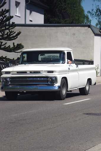 Aliya Ernst  | Oldtimer | Tierfotograf auf alleFotografen