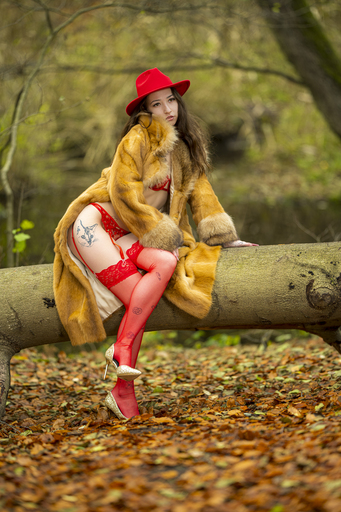 FotoFrank | Portrait | Aktfotograf auf alleFotografen