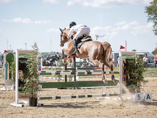 Rieke Goldbach | Turnierfotografie | Pferdefotograf auf alleFotografen