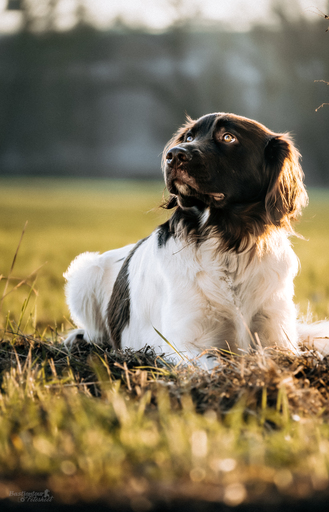 Bastiontour-Fotoshoot | Tierfotografie | Aktfotograf auf alleFotografen