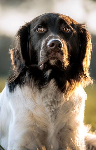 Bastiontour-Fotoshoot | Tierfotografie | Landschaftsfotograf auf alleFotografen