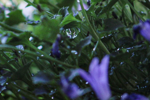 Fotografie Leipzig by Sarah | Natur | Portraitfotograf auf alleFotografen