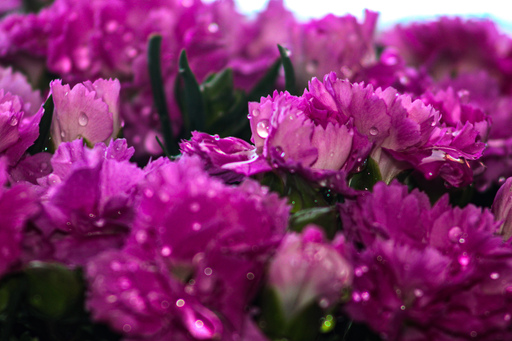 Fotografie Leipzig by Sarah | Natur | Architekturfotograf auf alleFotografen