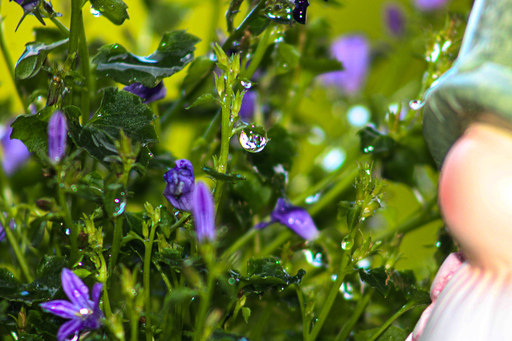 Fotografie Leipzig by Sarah | Natur | Paarfotograf auf alleFotografen