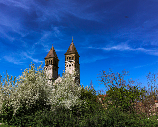 Fotografie Leipzig by Sarah | Kirche | Tierfotograf auf alleFotografen