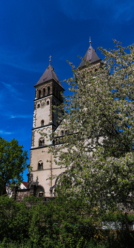 Fotografie Leipzig by Sarah | Kirche | Tierfotograf auf alleFotografen