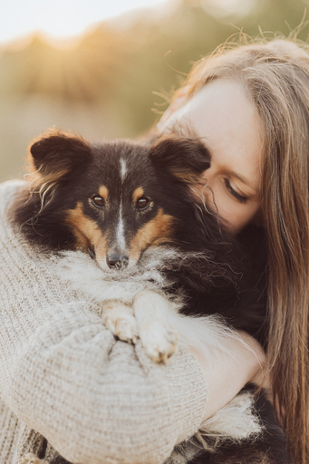Deine Hundefotografin | Hunde & ihre Menschen | Pferdefotograf auf alleFotografen