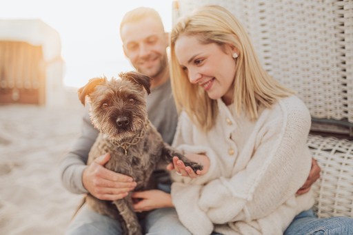 Deine Hundefotografin | Hunde & ihre Menschen | Hochzeitsfotograf auf alleFotografen