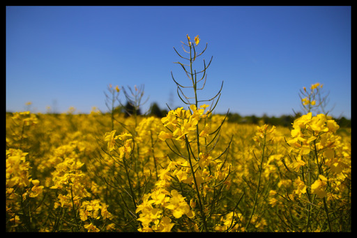 Pixora.Films | Landschaft | Paarfotograf auf alleFotografen