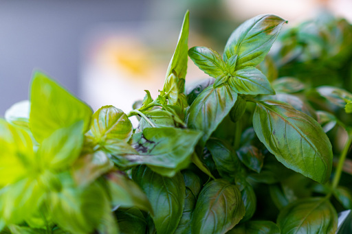 Neunzehn58 | Business | Foodfotograf auf alleFotografen