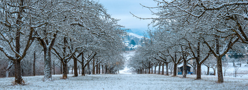 Neunzehn58 | Natur | Werbefotograf auf alleFotografen