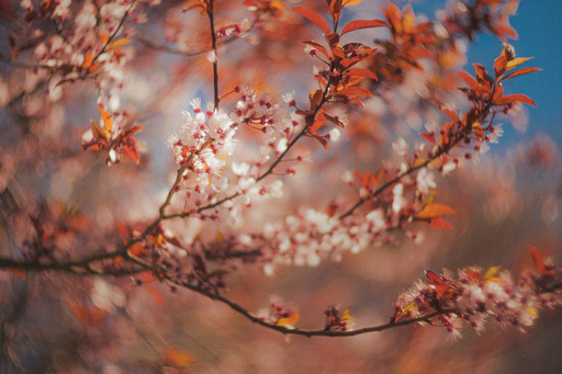 Neunzehn58 | Natur | Modefotograf auf alleFotografen