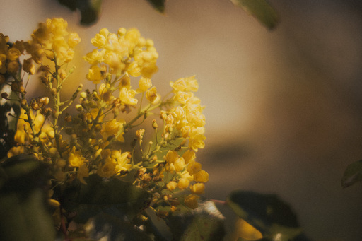 Neunzehn58 | Natur | Portraitfotograf auf alleFotografen
