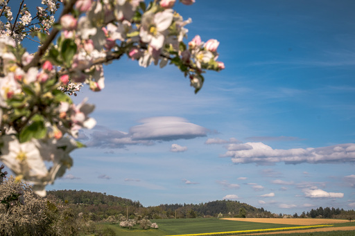Neunzehn58 | Natur | Portraitfotograf auf alleFotografen