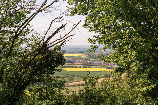 Neunzehn58 | Natur | Konzertfotograf auf alleFotografen