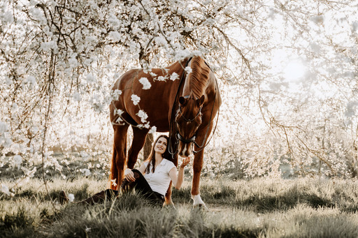 Nadine Priester | Pferde | Tierfotograf auf alleFotografen