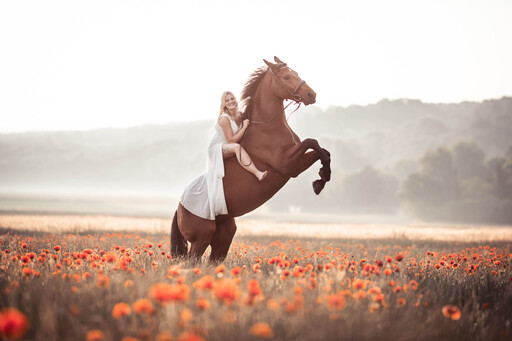 Nadine Priester | Pferde | Paarfotograf auf alleFotografen