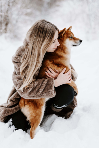 Nadine Priester | Hunde | Tierfotograf auf alleFotografen
