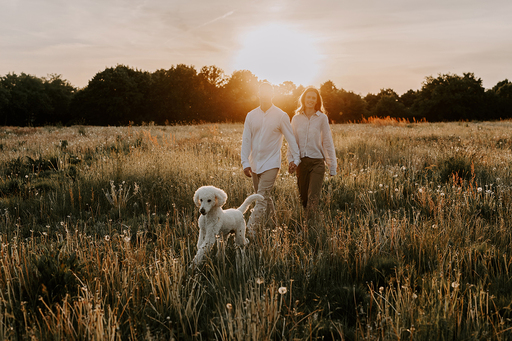 Nadine Priester | Hunde | Tierfotograf auf alleFotografen