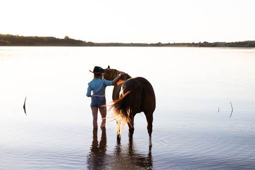 Steffi Mertz Photography | Perdefotografie | Pferdefotograf auf alleFotografen