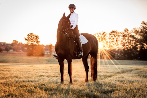 Steffi Mertz Photography | Perdefotografie | Hundefotograf auf alleFotografen
