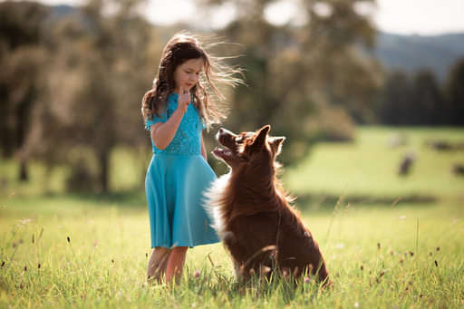Steffi Mertz Photography | Hundefotografie | Tierfotograf auf alleFotografen