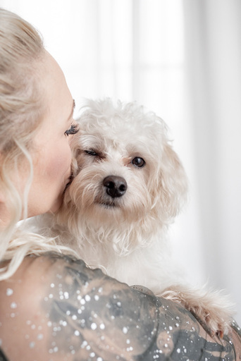 Steffi Mertz Photography | Studiofotografie | Hundefotograf auf alleFotografen