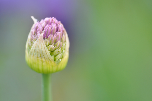 Birgit Steven-Lahno | Landschaft und Naturfotografie | Landschaftsfotograf auf alleFotografen