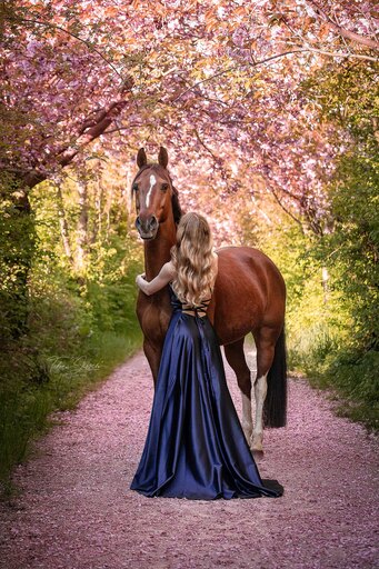 Tabea Jessen Photography | Pferdeliebe | Hochzeitsfotograf auf alleFotografen